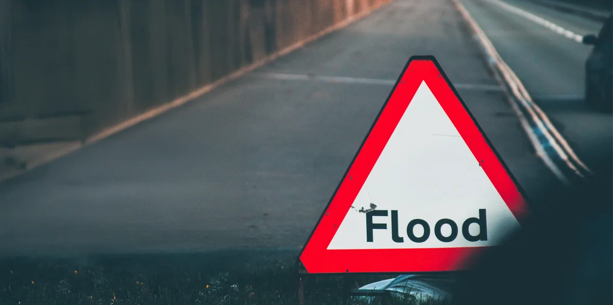 Puppy hiding under a blanket